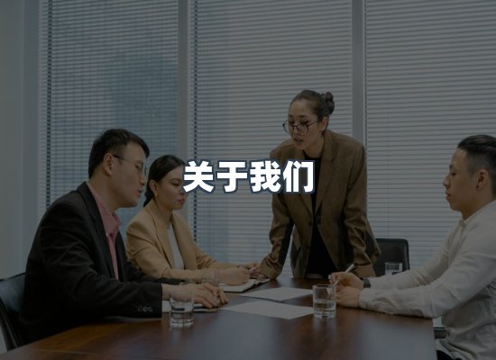 专业团队