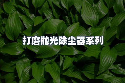 脉冲布袋除尘器