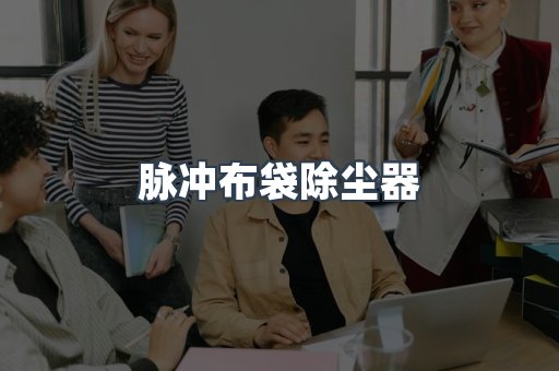 脉冲布袋除尘器